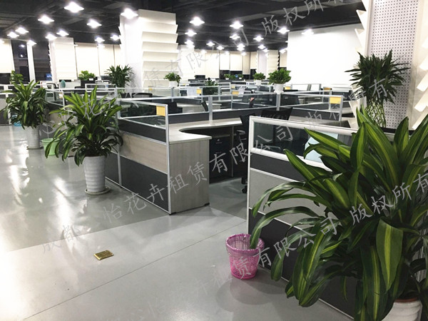 植物擺放案例